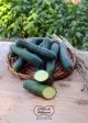 CETRIOLI BIO disponibilità limitata