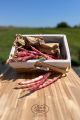FAGIOLI BORLOTTI (freschi) KM0