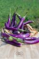 MELANZANE PERLINE BIO disponibilità limitata