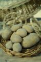 PATATE GIALLE NOVELLE BIO