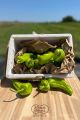 PEPERONI CORNO BIO 