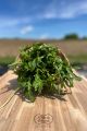 RUCOLA KM0 A MAZZO 90/100gr circa